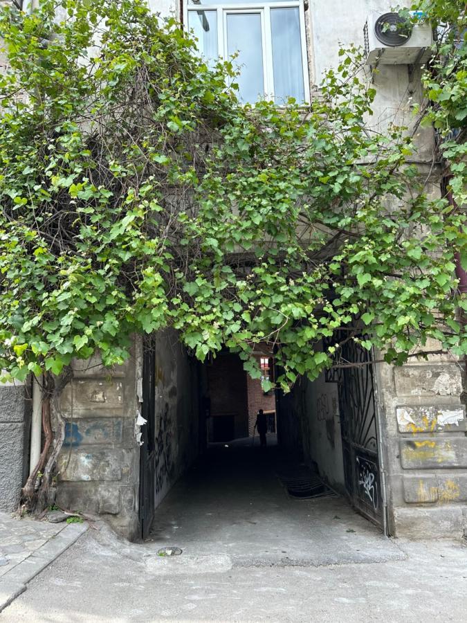 Salalak Apartment Tbilisi Bagian luar foto